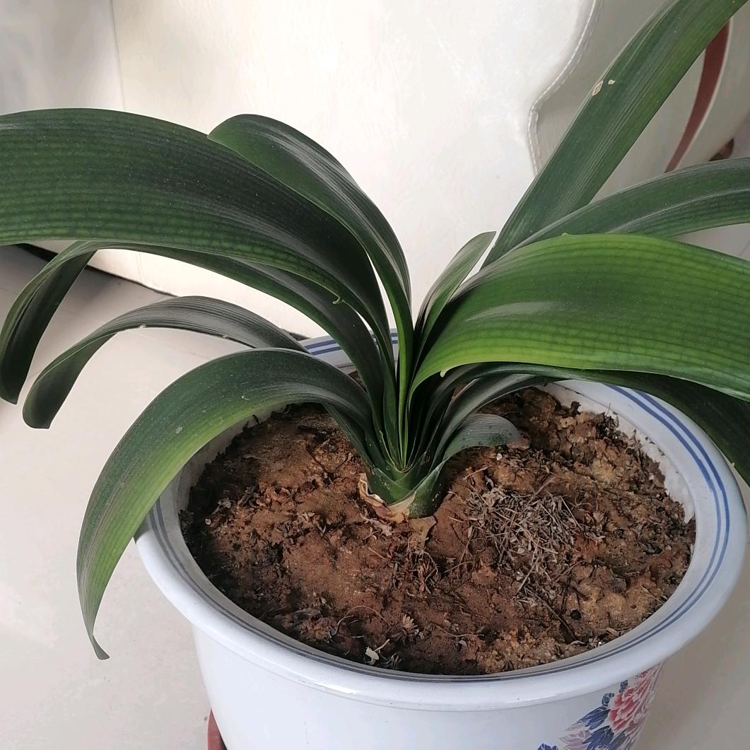 用户2048536550960，忠贞不渝