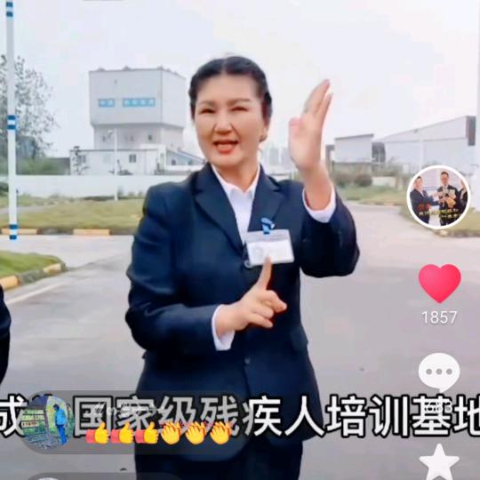 湖北胜赢新启航残疾人（聋人）驾校