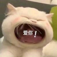 剪辑小白  小安