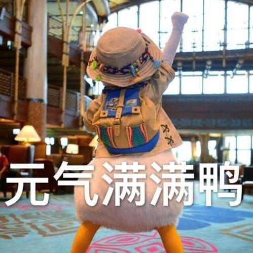 机械孔老师