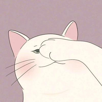 是小猪🫠