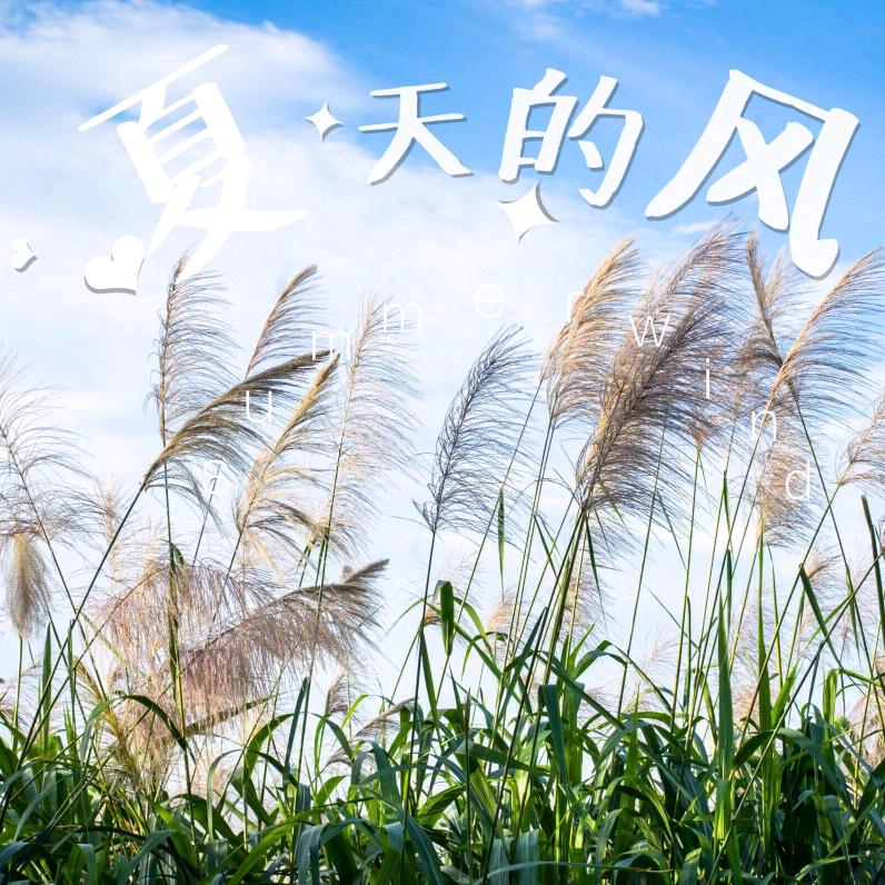 清凉伴夏