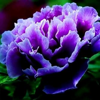 💖ღ一米᭄阳ღ光᭄ꦿ꯭💖