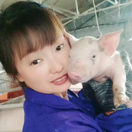 四川养猪妹《收徒》