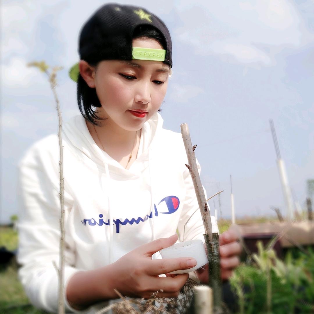 乐艺彩绘
