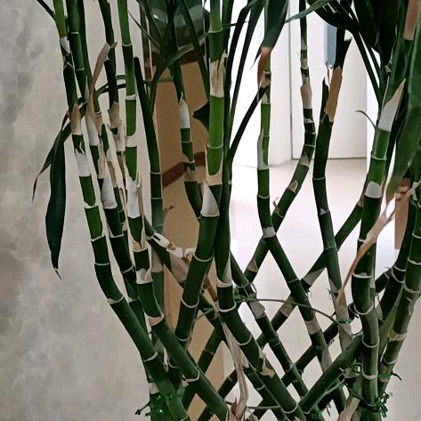 💫余生安好☀️🌙