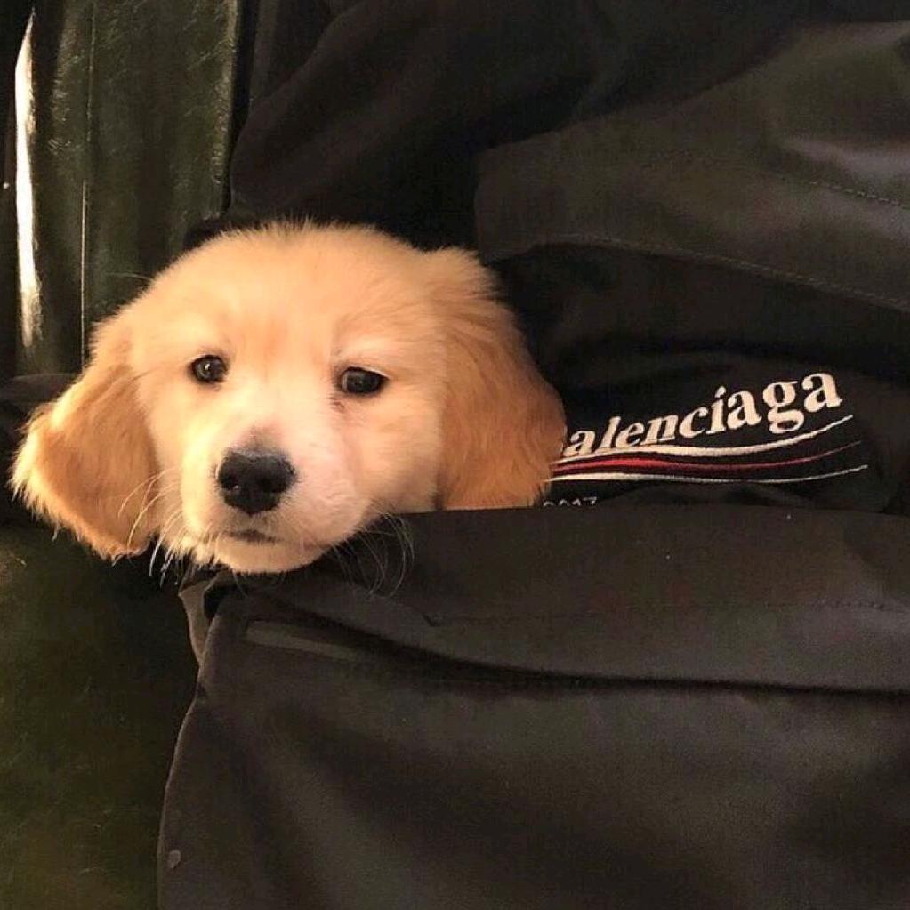 Supreme®.