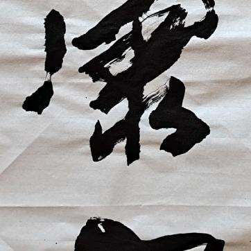 许德轩书法