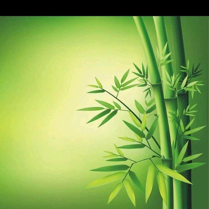 春花秋实