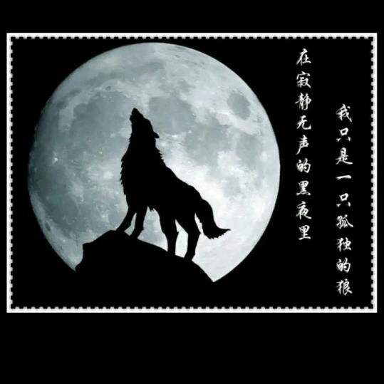 【至尊】～雪狼🐺@