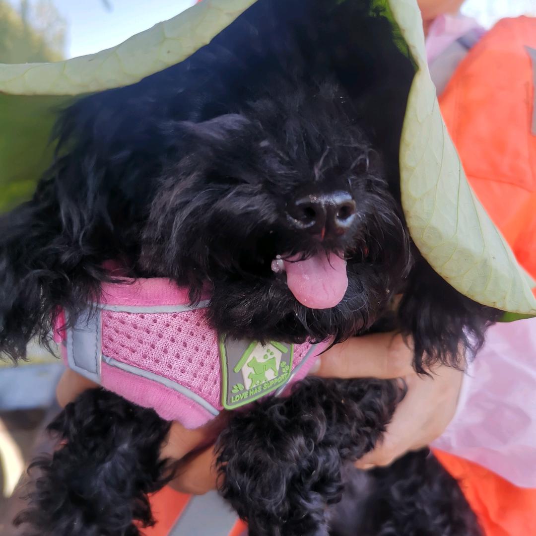 艾米是个大美妞