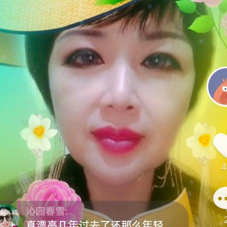 沙漠红柳