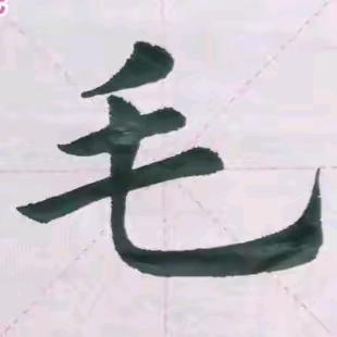 老毛