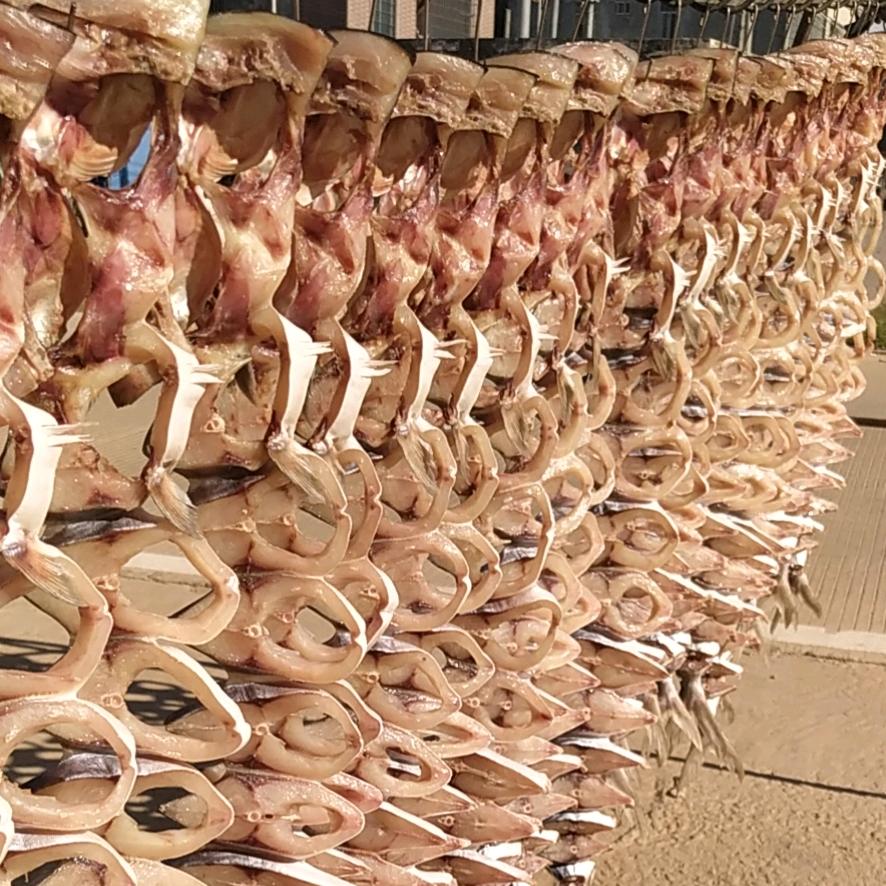 湛江遂溪江洪小娟自晒鱼🐠干