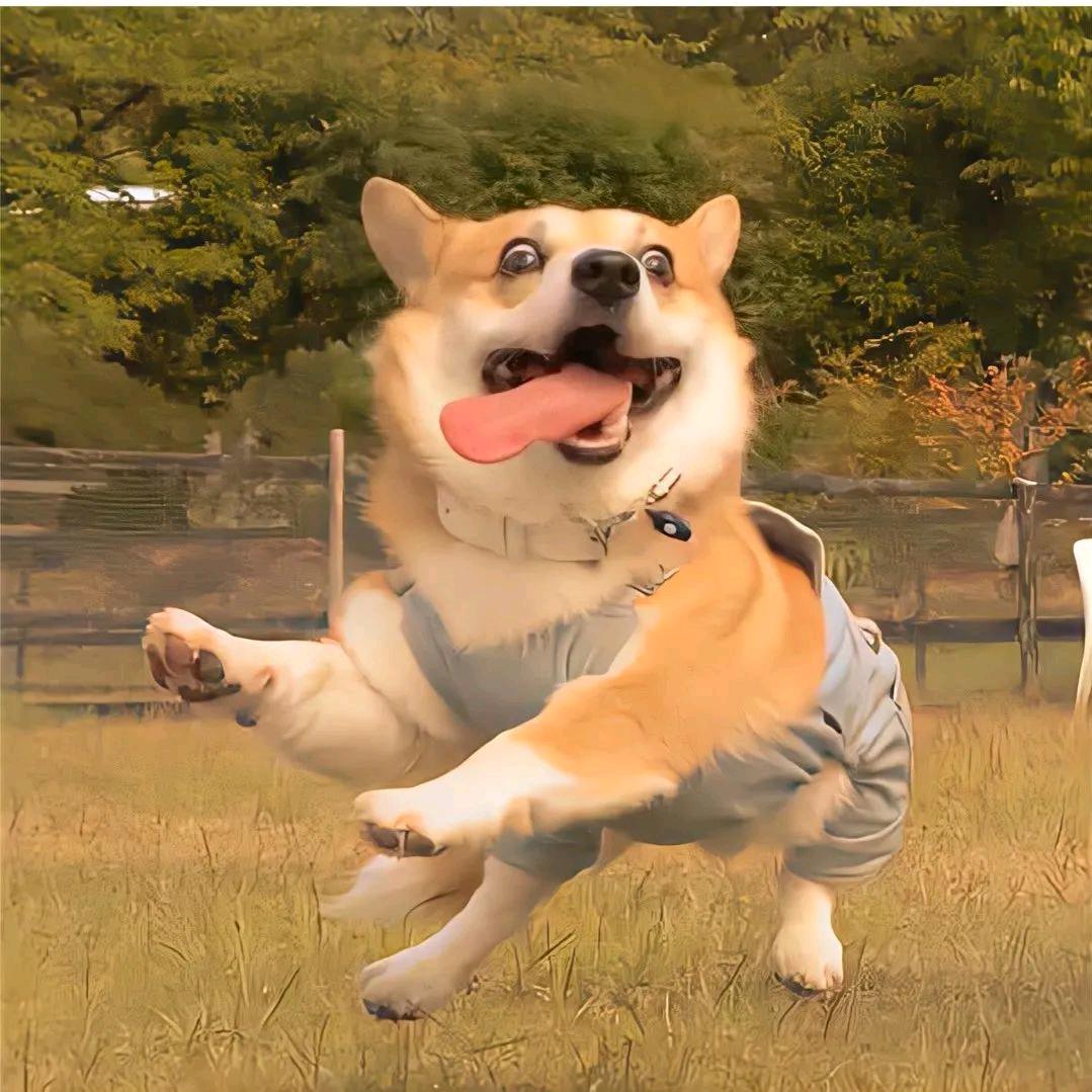 红烧热带鱼