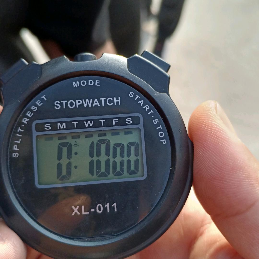 飞雪连天射白鹿