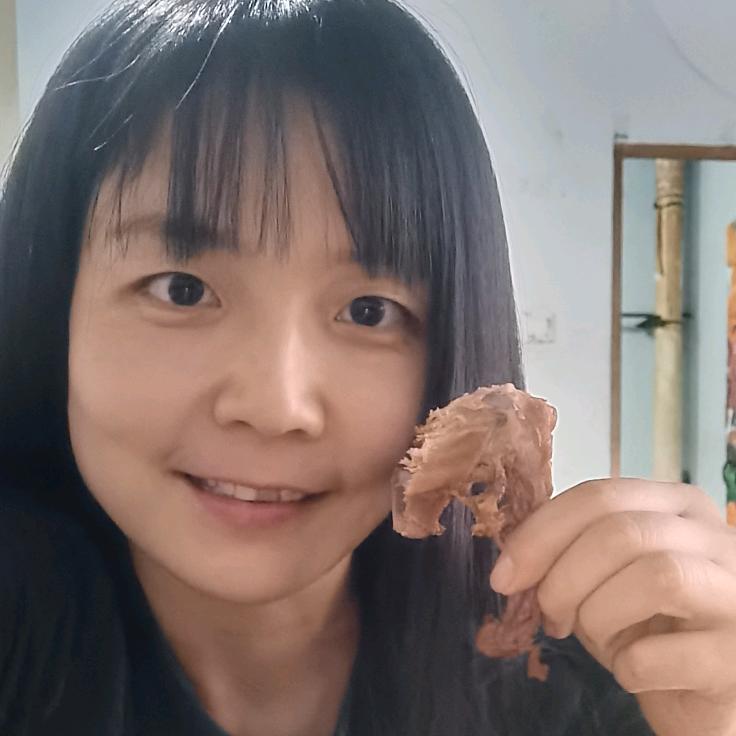 小北街张记熟肉～婷婷