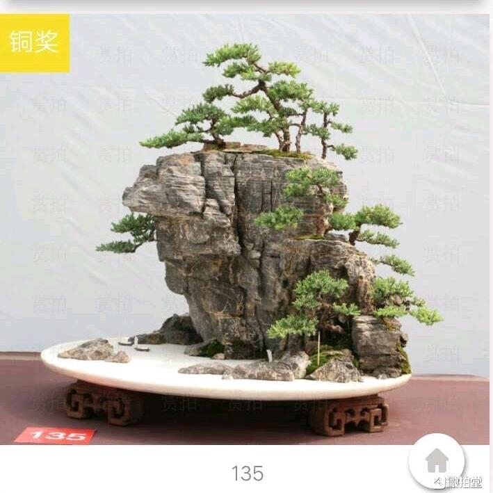 薛城静园小品