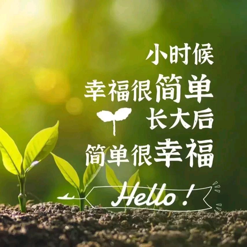 忘记一切