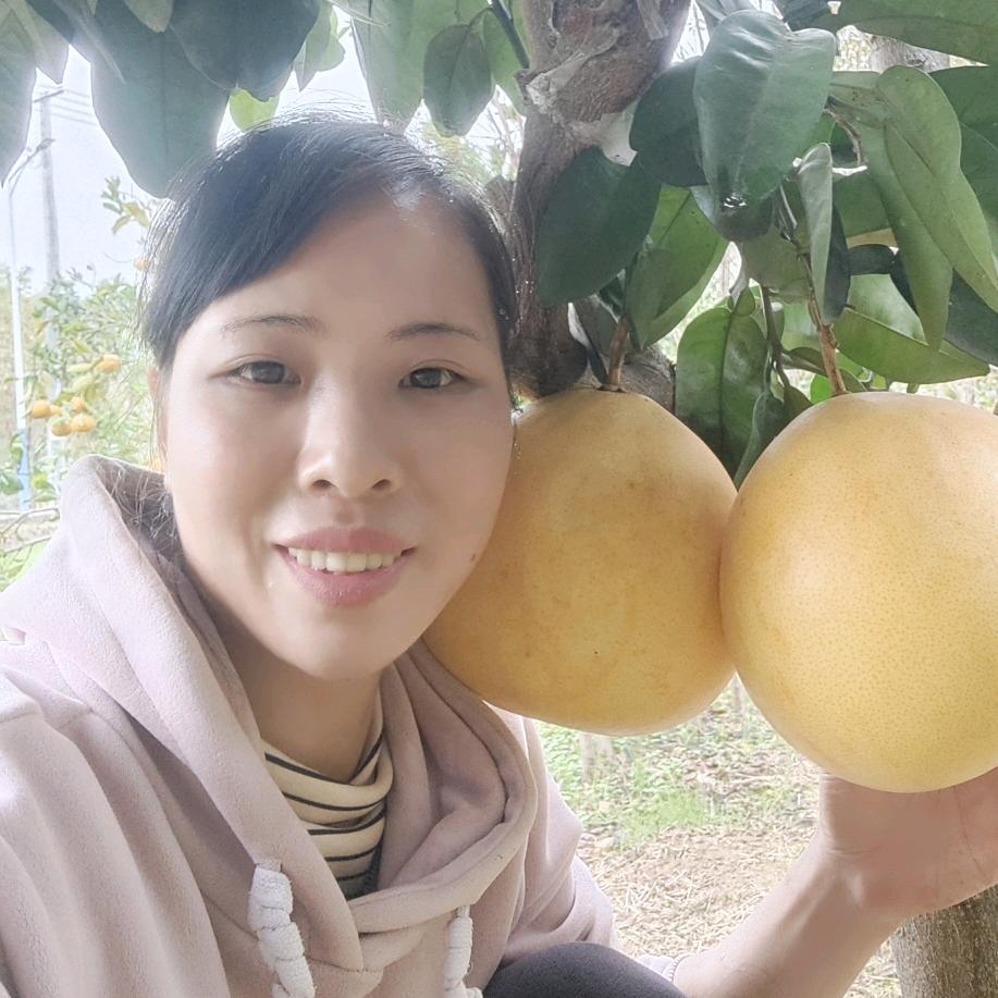 祁阳果苗小燕子