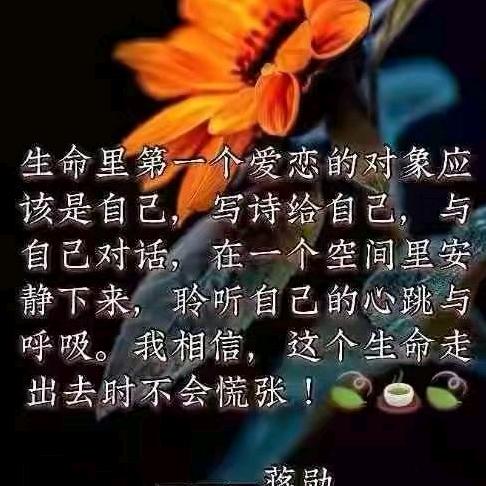 流年似水