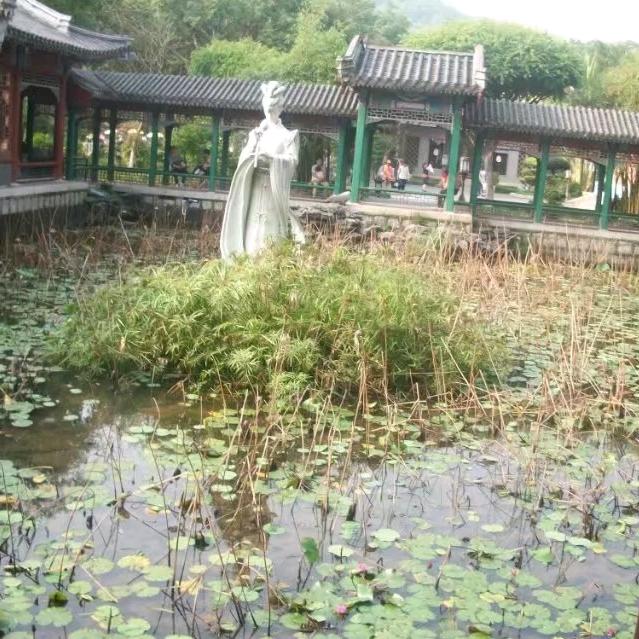 何仔