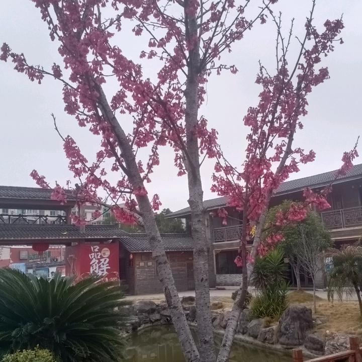 幸福一家人