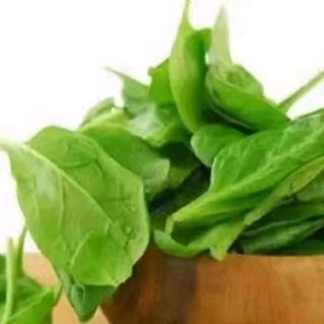 山菜