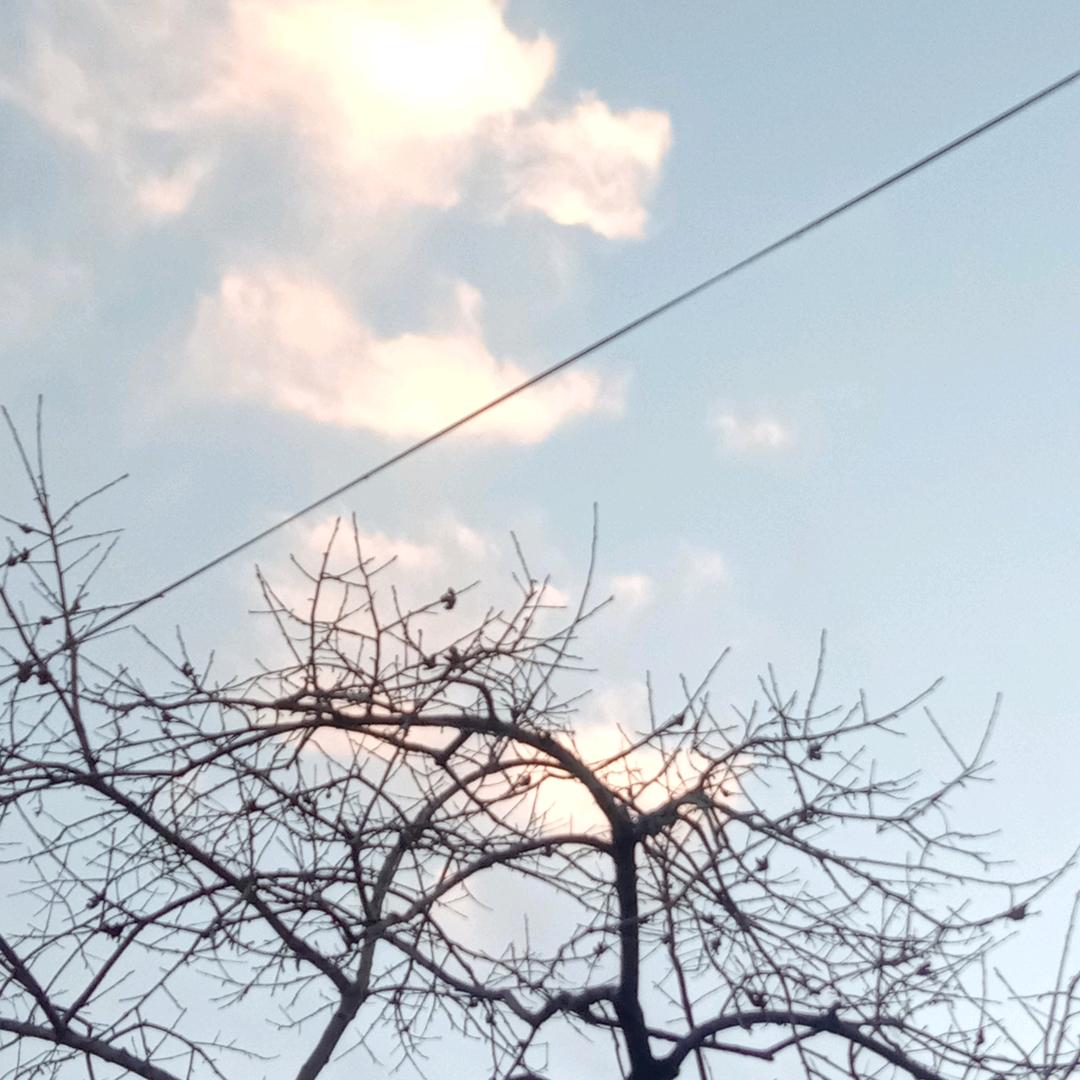 王书珍
