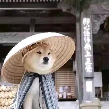驿站购便利店