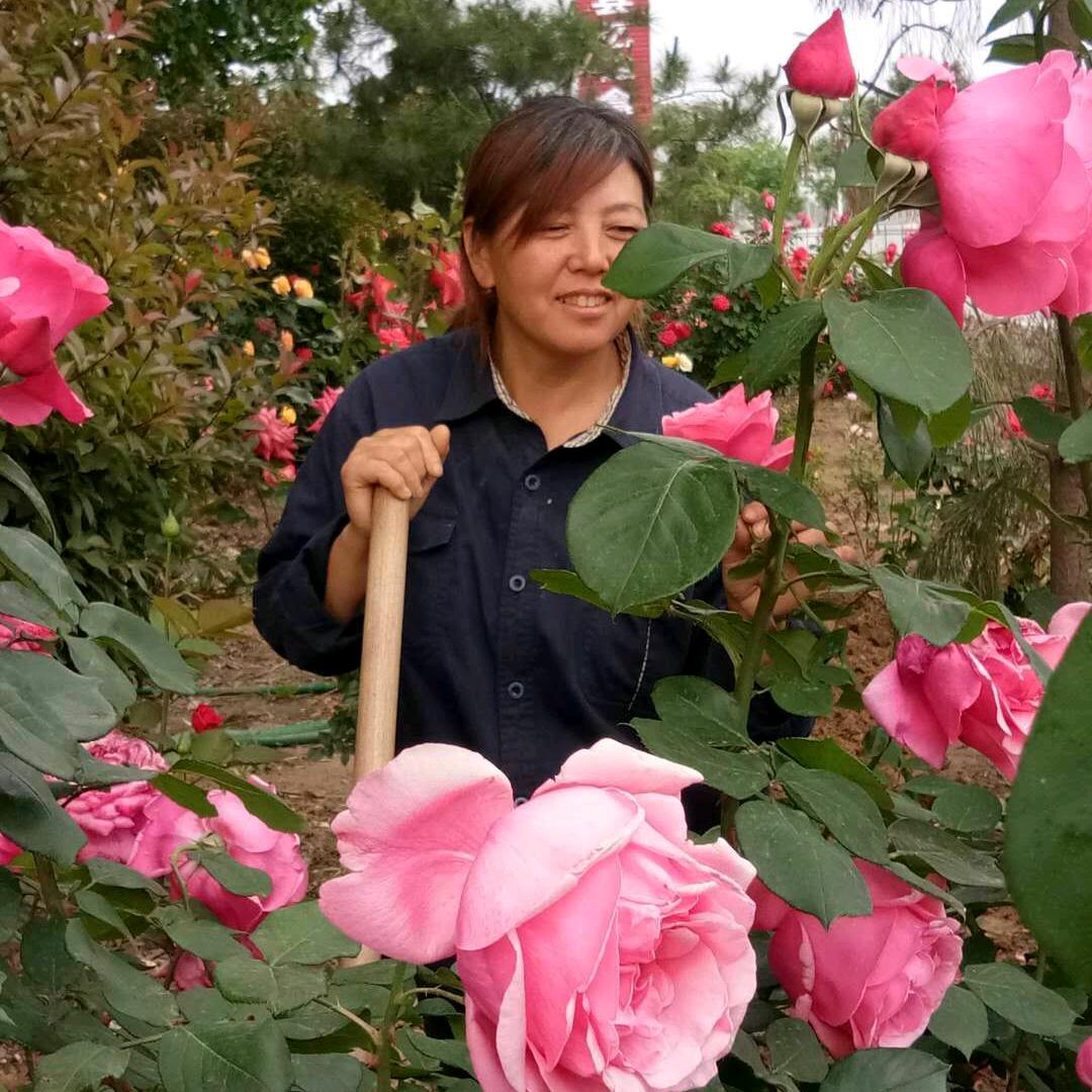 亊事难料，东山再起