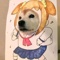 蕉个朋友