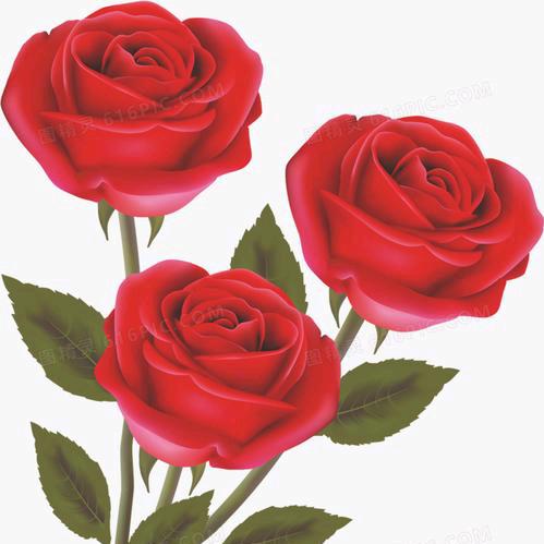 顺其自然，平安喜乐