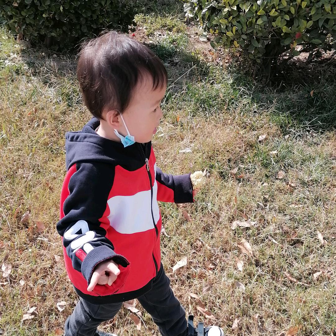 木子木