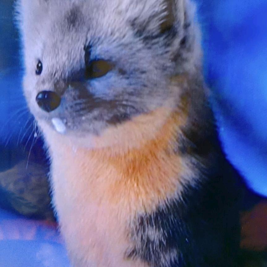 用户“木子”（拒绝私聊）78411