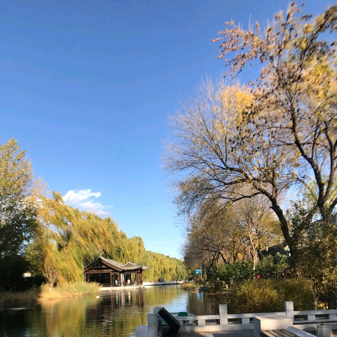 浪里白条🌊🌊🌊