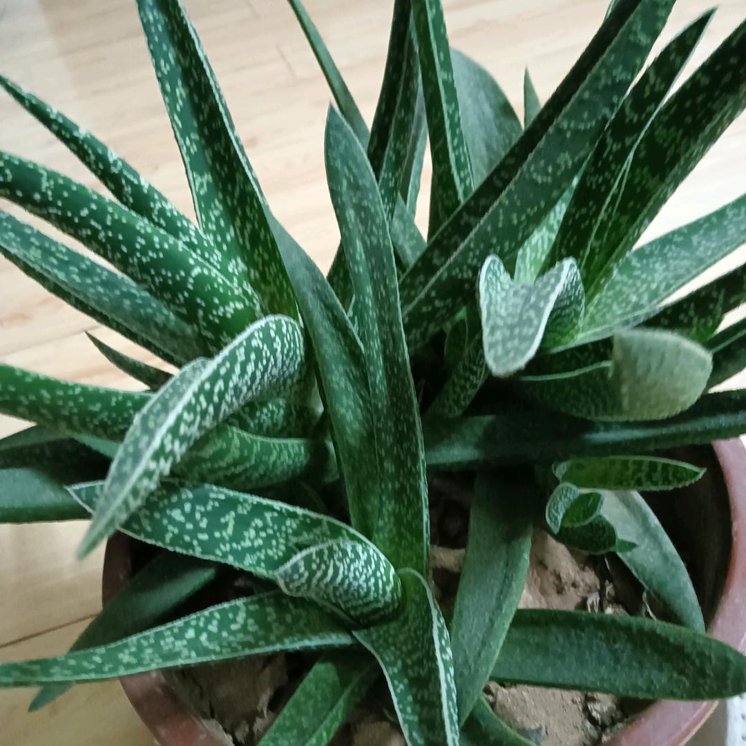 切行切珍惜