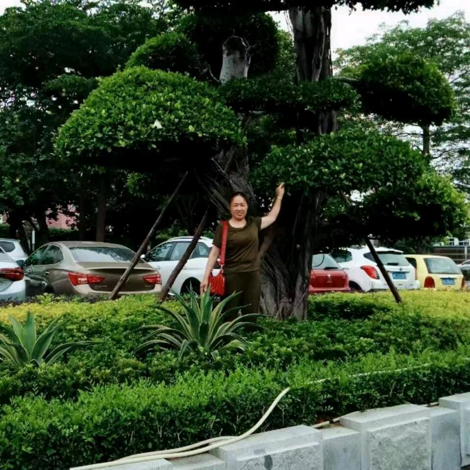天天开心^_^