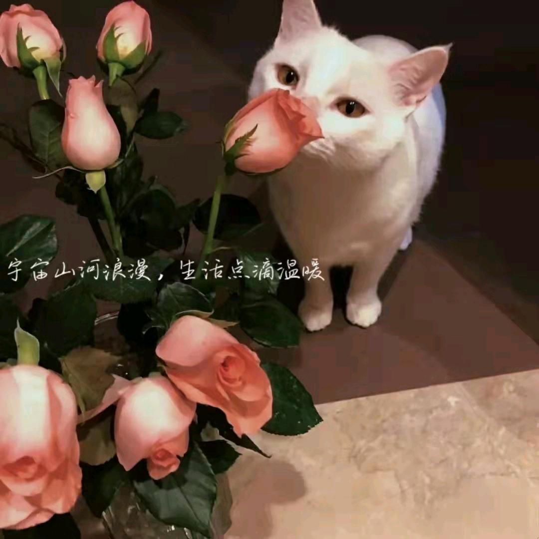 暖暖