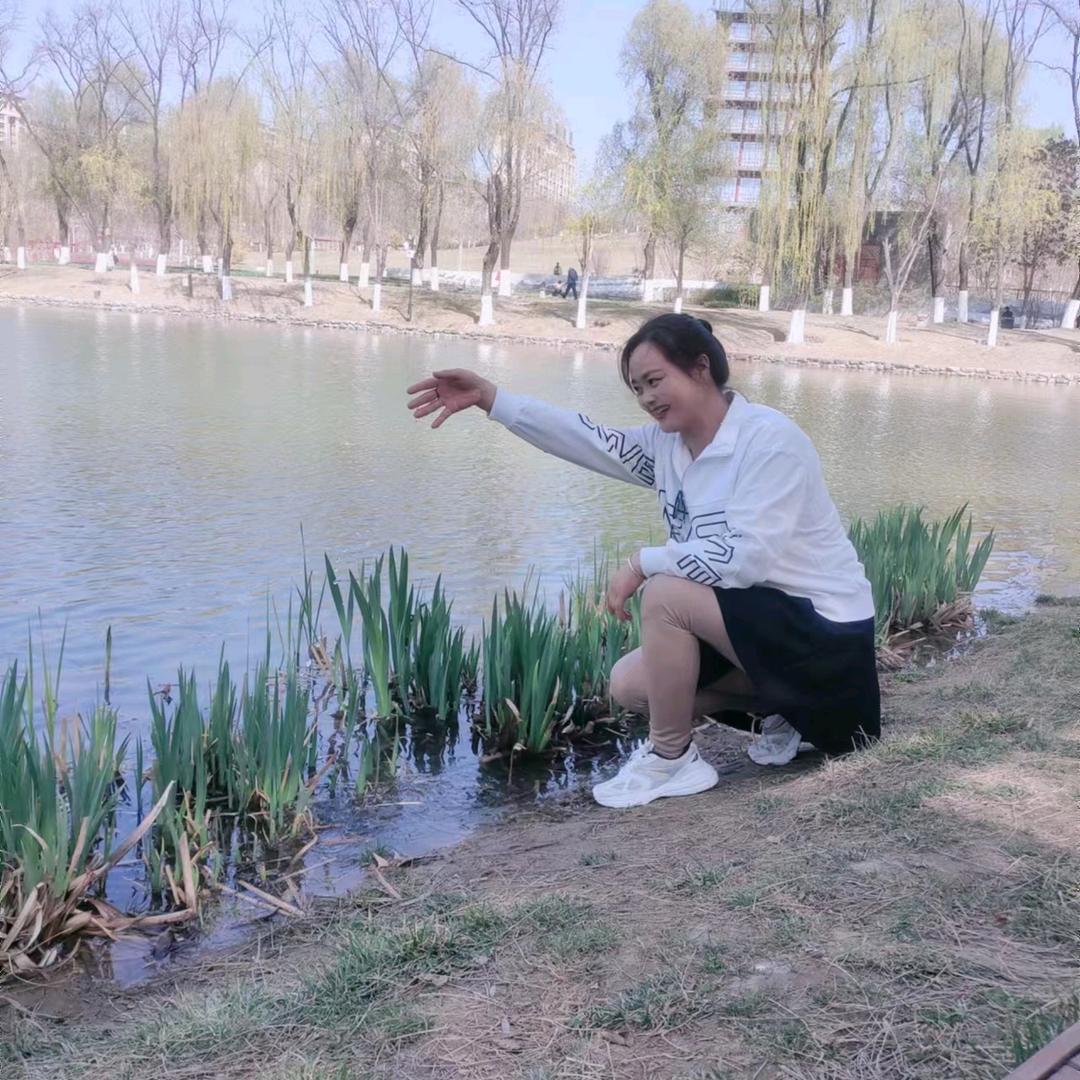 向日葵