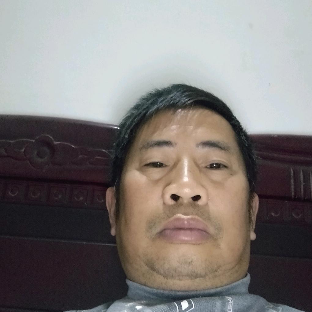 楠
