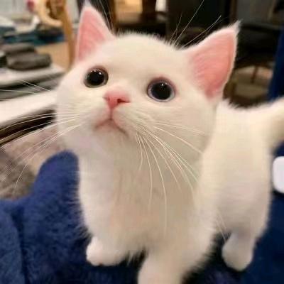 @张渣渣