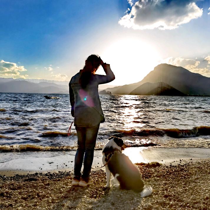 小猫小狗好好干饭