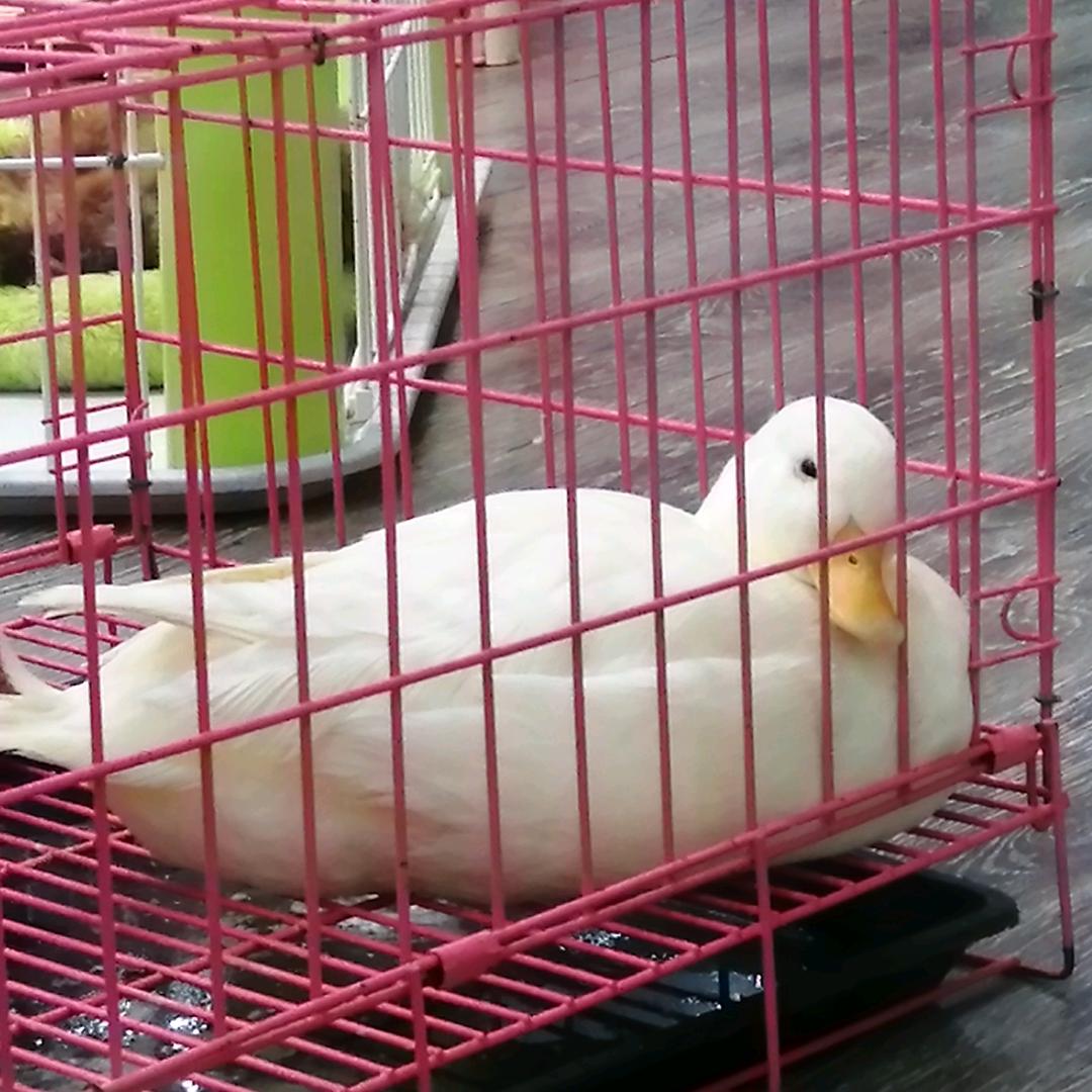 一生何求...
