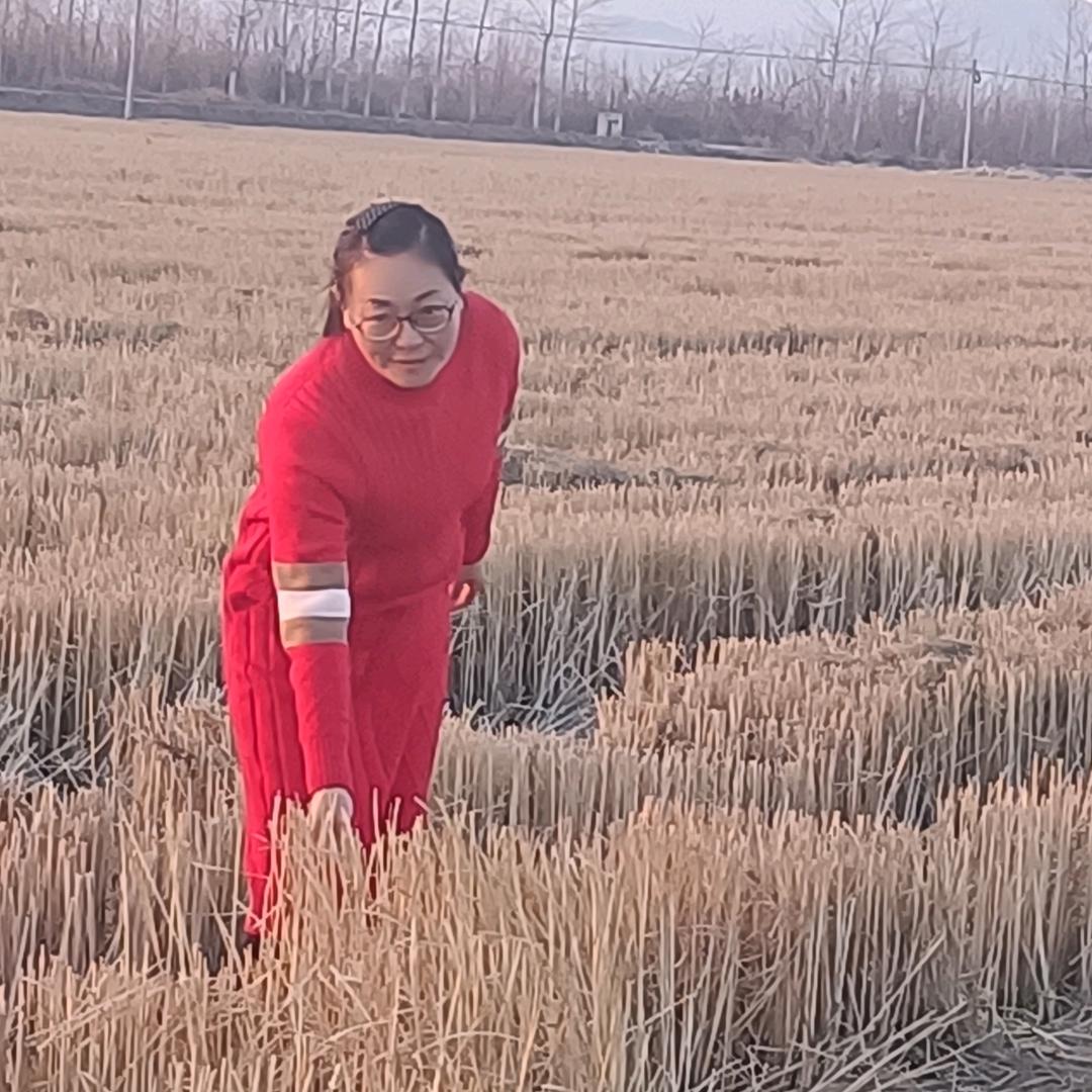 春深未见兰