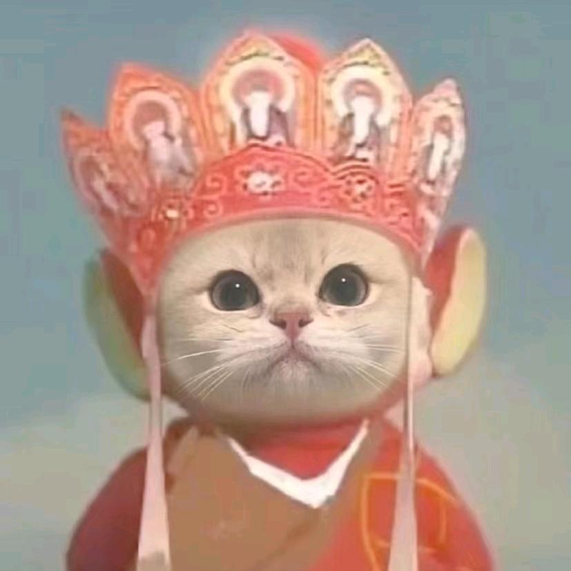 减不了肥的麻麻