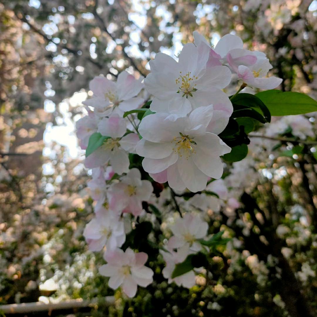 刘奶奶