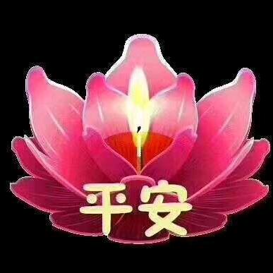 学明