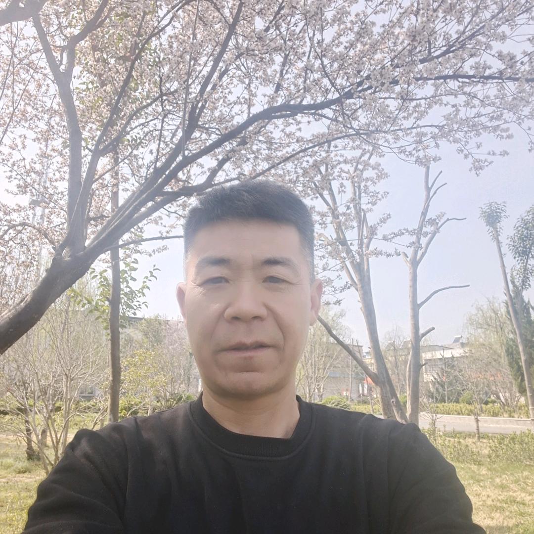 张伟文化传媒
