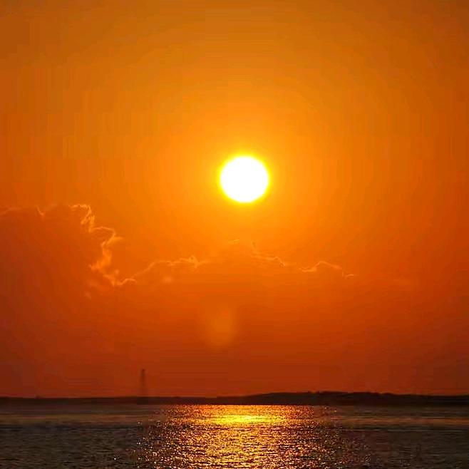 夕阳红